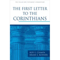 The First Letter to the Corinthians