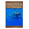 Great White Shark - Discover: Early reader's wildlife photography book
