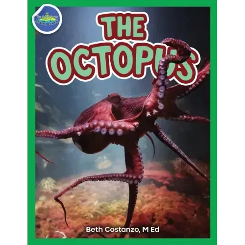 The Octopus ages 2-4