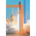 Nuclear Propulsion Techniques for Spacecraft: Utilization of Nuclear Reactors in Spacecraft for Space Propulsion