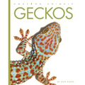 Geckos