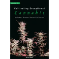 Cultivating Exceptional Cannabis: An Expert Breeder Shares His Secrets