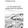 In the Unsettled Homeland of Dreams