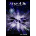 A Second Life In Virtual Worlds