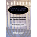 Commentary on Hebrews: Exegetical and Expository - Vol. 2 (8-13)