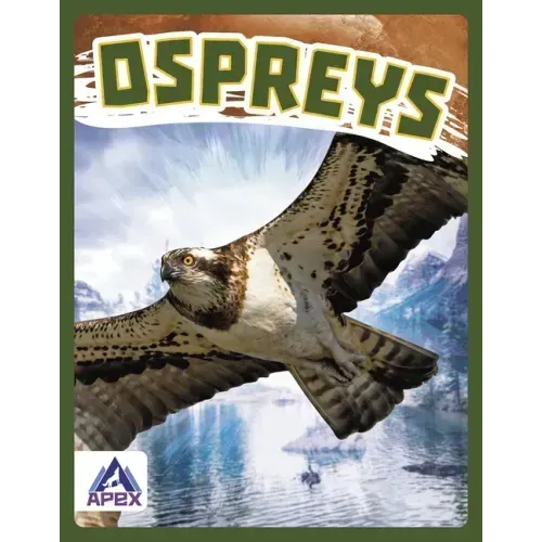 Ospreys