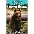 Brown Bears