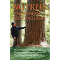 Big Trees of Northern New England