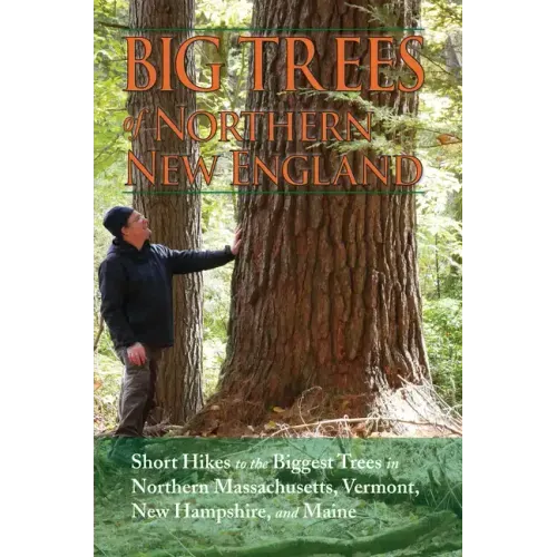 Big Trees of Northern New England