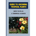 Guide To Growing Tropical Plants: How To Plan A Tropical Garden: Plant Types For Tropical Garden