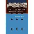Lactation Mammary Gland