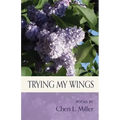 Trying my Wings