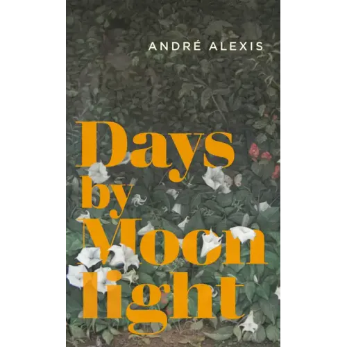 Days by Moonlight