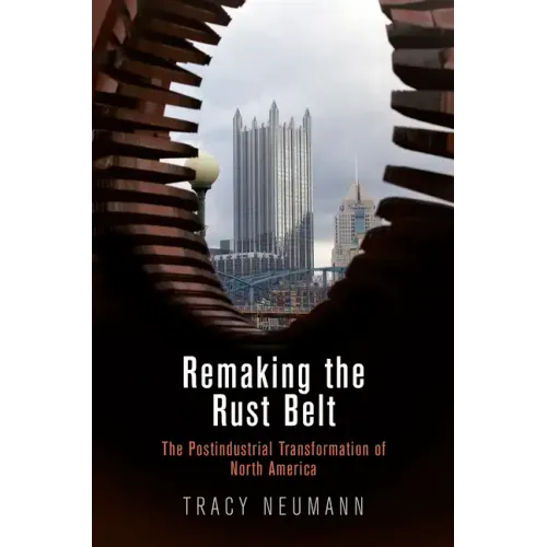 Remaking the Rust Belt: The Postindustrial Transformation of North America