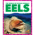 Eels