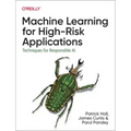 Machine Learning for High-Risk Applications: Approaches to Responsible AI