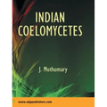 Indian Coelomycetes