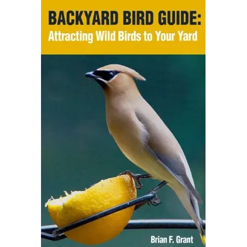 Backyard Bird Guide: Attracting Wild Birds to Your Yard