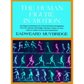 The Human Figure in Motion