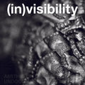 (In)Visibility: Aesthetics of Undocumentedness