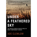 Under a Feathered Sky: The Untold Story of Nato's Role in Newly Independent Kosovo