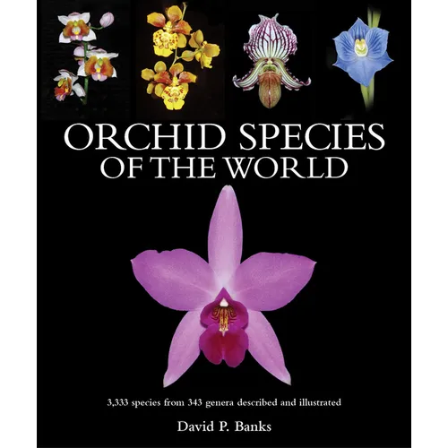 Orchid Species of the World: 3,333 Species from 343 Genera Described and Illustrated