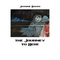 Journey to Here