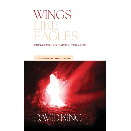 Wings Like Eagles: Reflections on Life in the Lord Vol. 4: Matthew-John