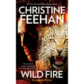 Wild Fire