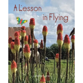 A Lesson in Flying