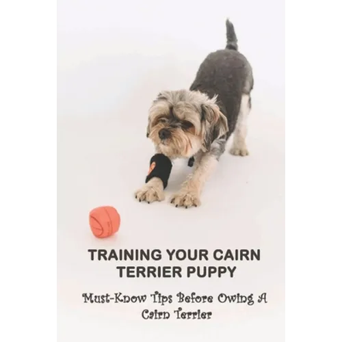 Training Your Cairn Terrier Puppy: Must-Know Tips Before Owing A Cairn Terrier: Facts About The Cairn Terrier
