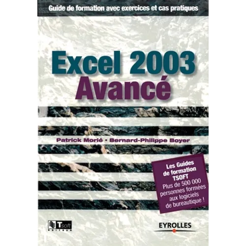 Excel 2003 Avancé