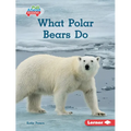What Polar Bears Do