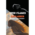 Twin Flames Explained