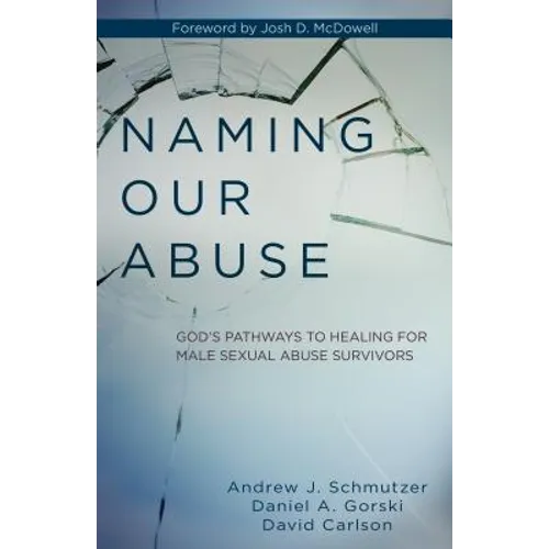 Naming Our Abuse: God's Pathways to Healing for Male Sexual Abuse Survivors