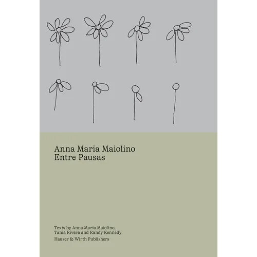 Anna Maria Maiolino: Entre Pausas