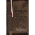 Little Black Book of Stories