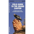 Field Guide to the Grand Canyon: A Folding Pocket Guide to Familiar Plants & Animals