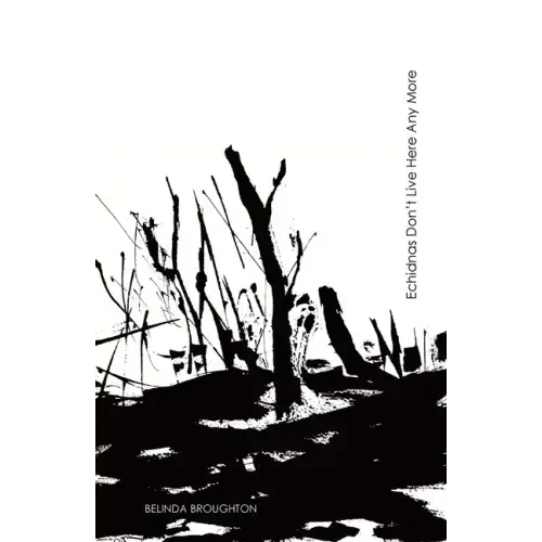 Echidnas Don't Live Here Any More: Poems of loss and recovery since the Black Summer bushfires