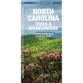 North Carolina Trees & Wildflowers: A Folding Pocket Guide to Familiar Plants