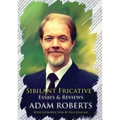 Sibilant Fricative