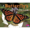A Butterfly's Life Cycle