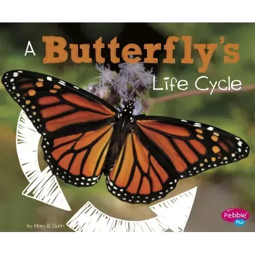 A Butterfly's Life Cycle