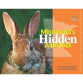 Minnesota's Hidden Alphabet