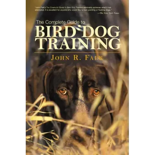 Complete Guide to Bird Dog Training