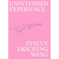 Evelyn Taocheng Wang: Unintended Experience: A Job in Amsterdam