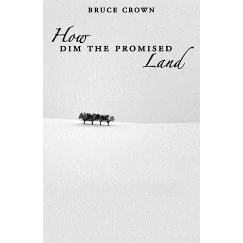 How Dim the Promised Land