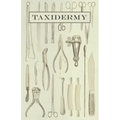 Taxidermy