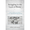 Struggling in the Land of Plenty: Race, Class, and Gender in the Lives of Homeless Families