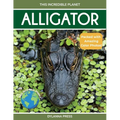 Alligator: Fascinating Animal Facts for Kids